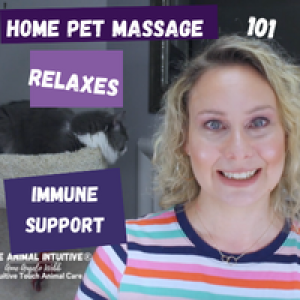 Learn Soothing & Balancing Massage For Pets! 🐾 Cranial Sacral | 101