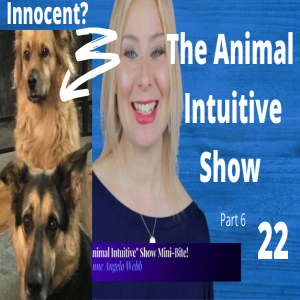 Ep 22 | Perfect Pets? Animal Communicator's Animals | MinBite Series Part 6: What Is Animal Communication