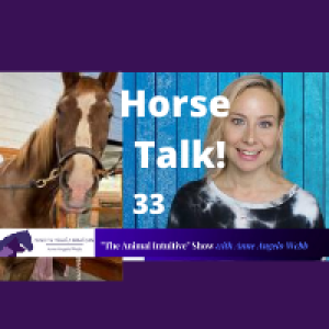 Equine Animal Communication With Robin Hood | Ep 33