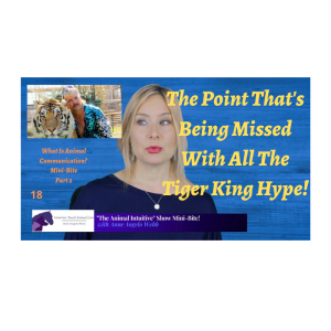 Ep 18 | What The Tiger King Discussion Is Missing | MinBite Series Part 2: What Is Animal Communication