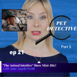 Ep 21 | Pet Detective-Finding Missing Pets | MinBite Series Part 5: What Is Animal Communication