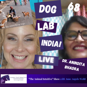 Dr. Anindita Bhadra's Dog Lab🐕Incredible Canine Relationships & Behavior | Ep68