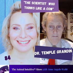 Animal Behavioral Scientist & Autistic Heroine Dr. Temple Grandin💙 | Ep 84