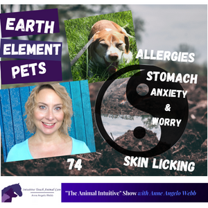 Earth Element & Animal Acupressure Points w Animal Communication | Ep 74