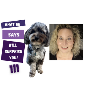 The Animal Intuitive® Channel