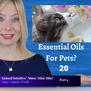 Ep 20 | Will Essential Oils Harm My Pets? | MinBite Series Part 4: What Is Animal Communication?