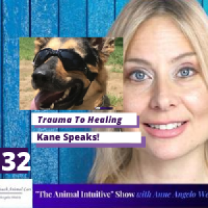 Animal Communication Kane's Healing Journey | Ep 32