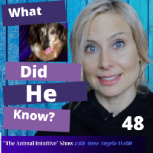 Orin's Animal Communication Surprised His Human! Incredible Information About Her  | Ep 48