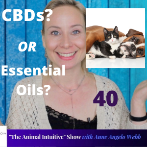 CBDs VS Essential Oils For Pets | Ep 40