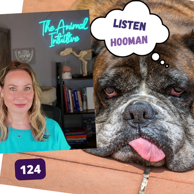 The Animal Intuitive® Channel