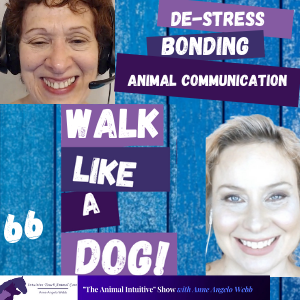 Walk Like A Dog 🐕 De-Stress, Bond More, & Increase Animal Communication | Ep 66
