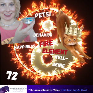 Fire Element Pets / Animal Communicator Talk 🔥☯️ | Ep 72