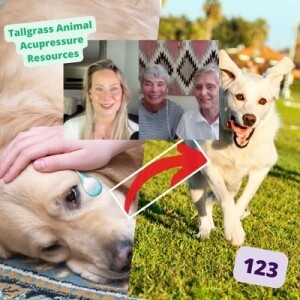 Stressed / sad paws revitalized!🐾Tallgrass Animal Acupressure Resources | Ep 123 (Re-release)