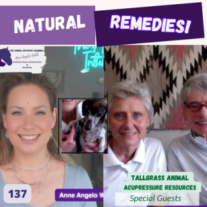 Spring Pet Allergy Solutions: Acupressure & Tui Na🐾FREE gift! ☯️| Ep 137