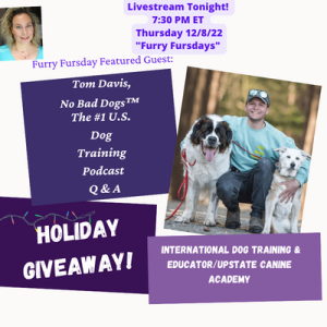 No Bad Dogs™️ Tonight! (Challenging Dog Behaviors), Q&A, Mystery Giveaway!