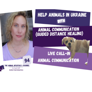 Animal Communication/Scared Animal Distance Healing Meditation /Research 94