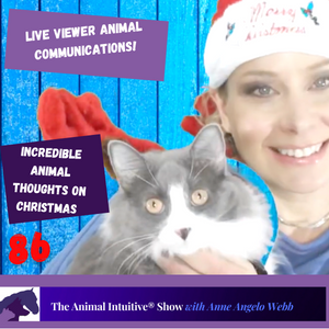 The Animal Intuitive® Channel