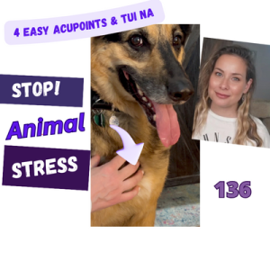 🐾Relieve Your Pet’s Anxiety With Acupressure & Animal Communication | Ep 136