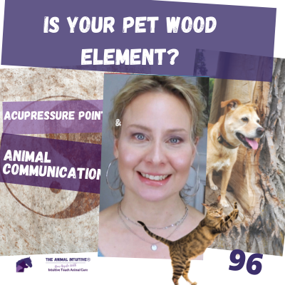 The Animal Intuitive® Channel