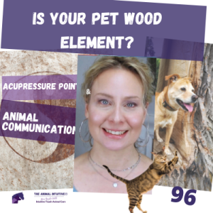 Wood Element Personality Lesson & Cat/Dog Acupressure Points! | Aggression, Anxiety, More | 96