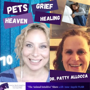 Do Our Pets Go To Heaven? & How To Deal With Pet Loss Pt 2 |  🐾 | Ep 65
