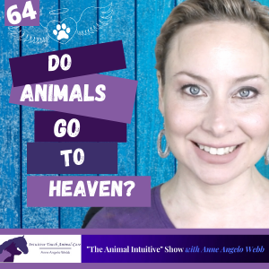 Do Animals Go To Heaven? Pt1 😸🐶 Ep 64