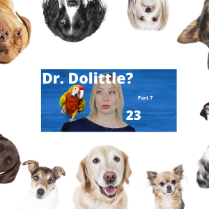 Ep 23 | Animal Communicator Like Dr. Dolittle? | MinBite Series Part 7: What Is Animal Communication