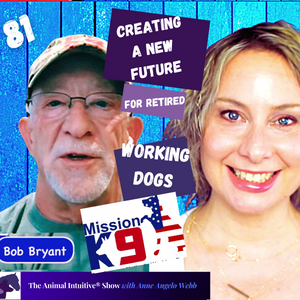 The Animal Intuitive® Channel
