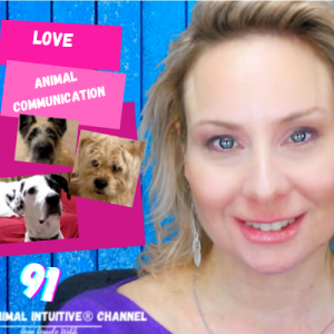 Live Animal Communication / Animals & Love/ Science 91