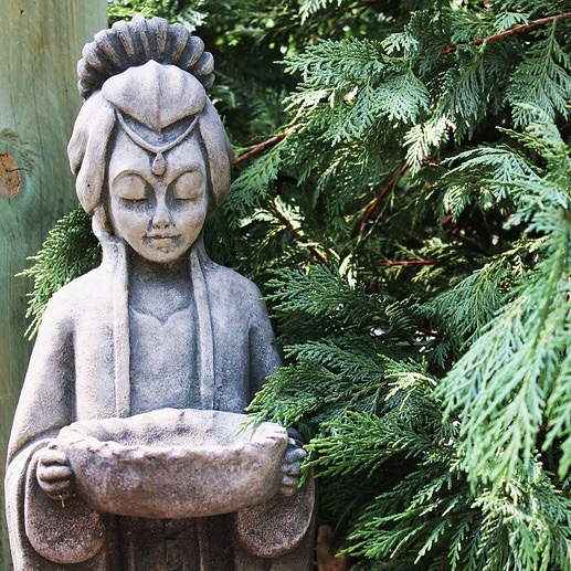 Aging Like a Guru - Who Me?