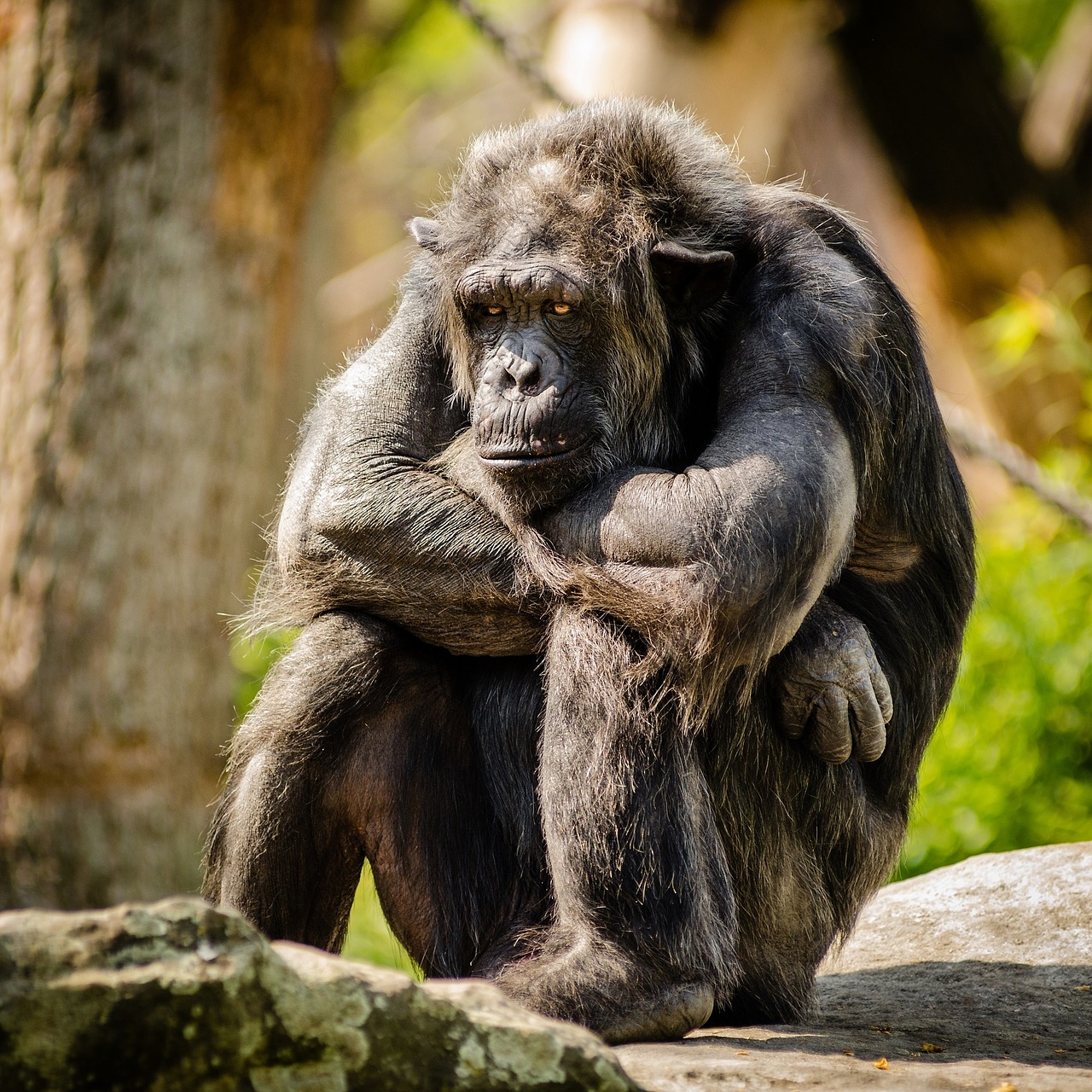 Aging Like a Guru - Who Me?