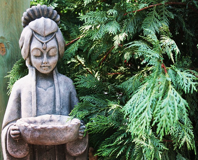 Aging Like a Guru - Who Me?