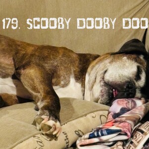 179. Scooby Dooby Doo