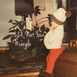 228. Not Your Triangle