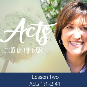 Acts Lesson 2 Message: 