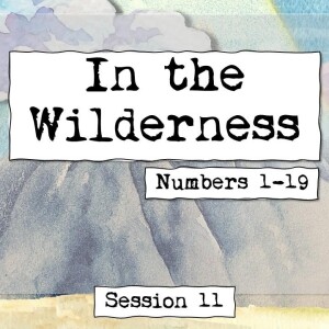 Numbers 1-19 || In the Wilderness