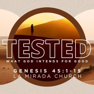 Genesis 45:1-15 || Tested