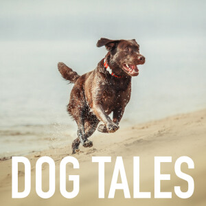 ARBM Episode 305: Dog Tales