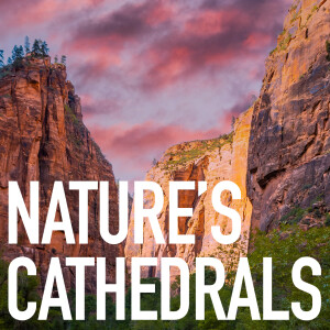ARBM Episode 306: Nature’s Cathedrals