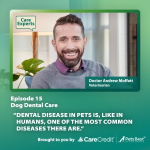 Dog Dental Care - Dr. Andrew Moffatt
