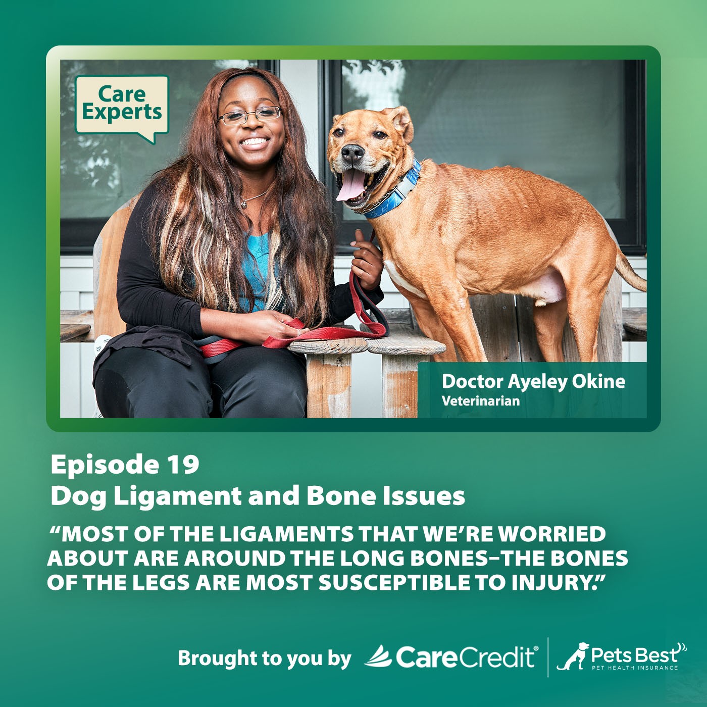 Care Experts with CareCredit