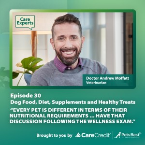 Dog Food, Diet, Supplements & Healthy Treats - Dr. Andrew Moffatt