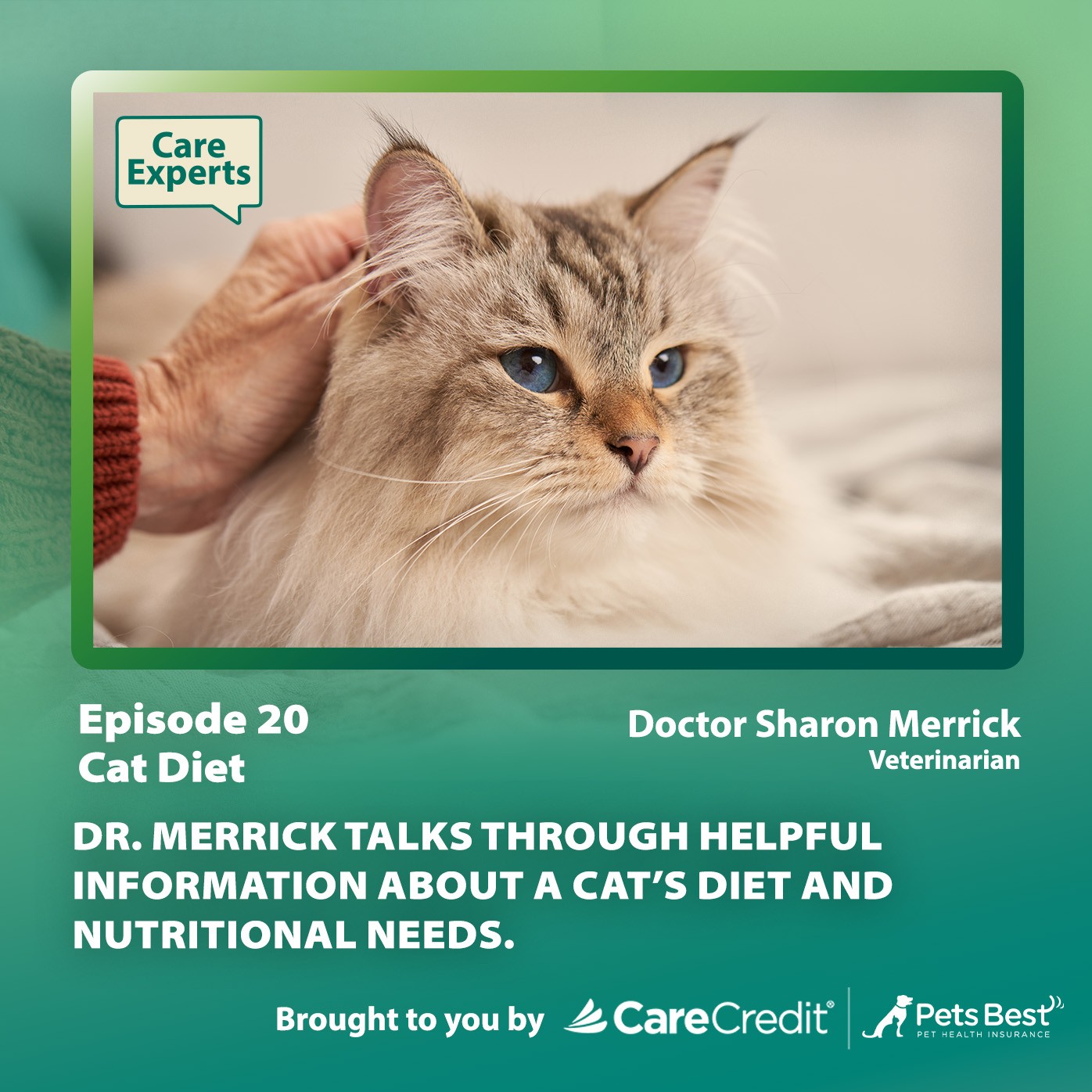 Care Experts with CareCredit