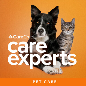 Creating a Pet Emergency Kit with Dr. Stevie Aitken