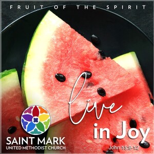 Fruit of the Spirit Series: Live in Joy