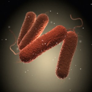 Encounters — A medical student tests positive for tuberculosis