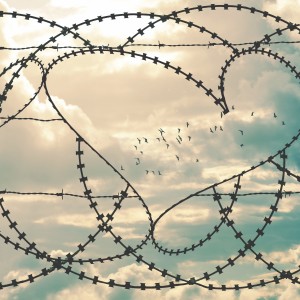 Encounters — A family doc feels unable to help her immigrant patient