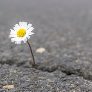 Encounters — A pediatrician shares the story of a memorable patient whose life was too short