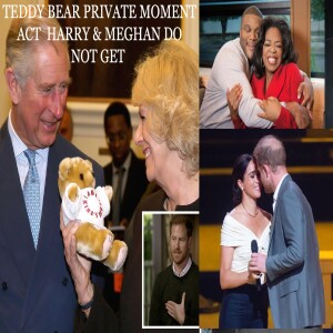 77. King Charles Teddy Bear ACT Meghan & Harry Do Not GET