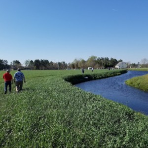 Conservation Drainage Complexities: Part 2